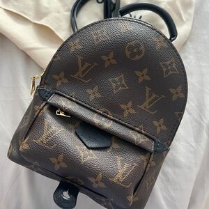 Louis Vuitton Palm Springs Mini Backpack